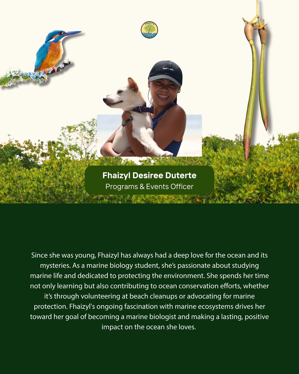 Mangrove Matters PH tweet media