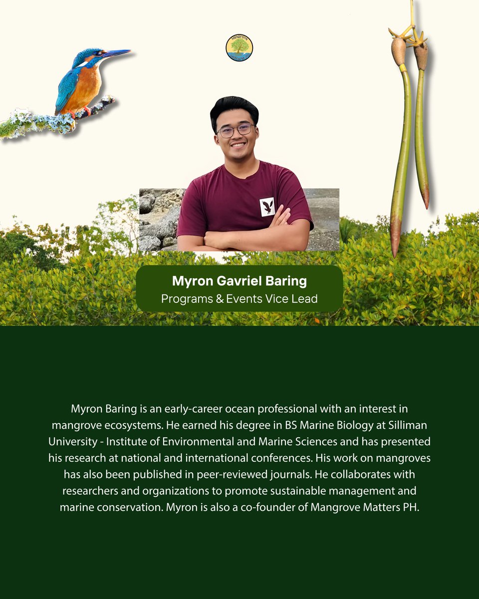 Mangrove Matters PH tweet media