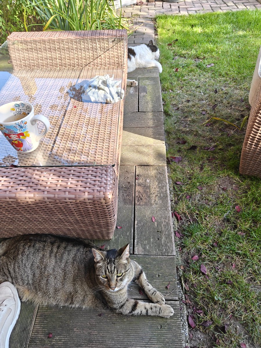 Hier houden we het nog wel even uit. Als het te warm wordt gaan we naar binnen