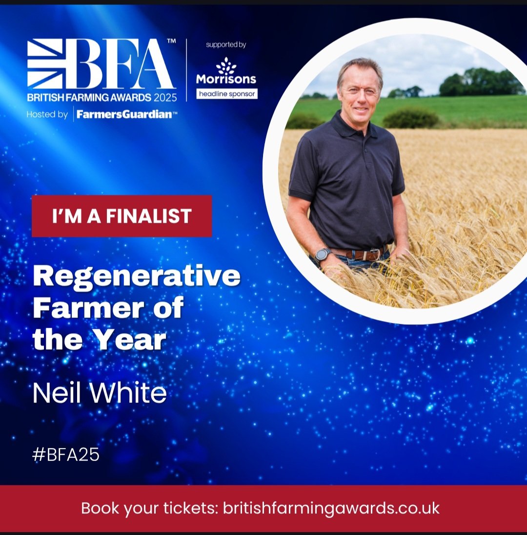 Everything Is Greenknowe tweet media