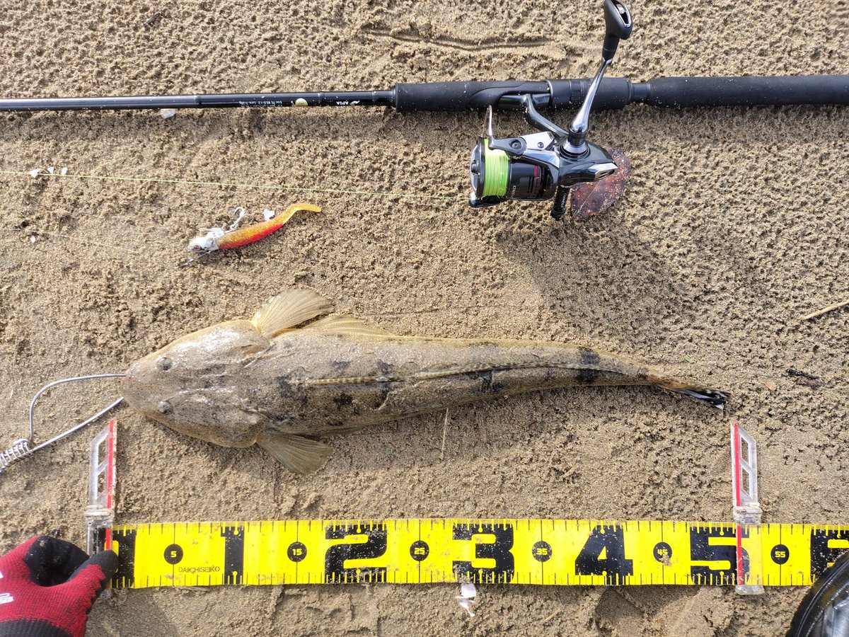北勢サーフゲリラ雷雨明けで良型

タックル地面に置くんじゃなかった…
いつも堤防だから気にしてなかった