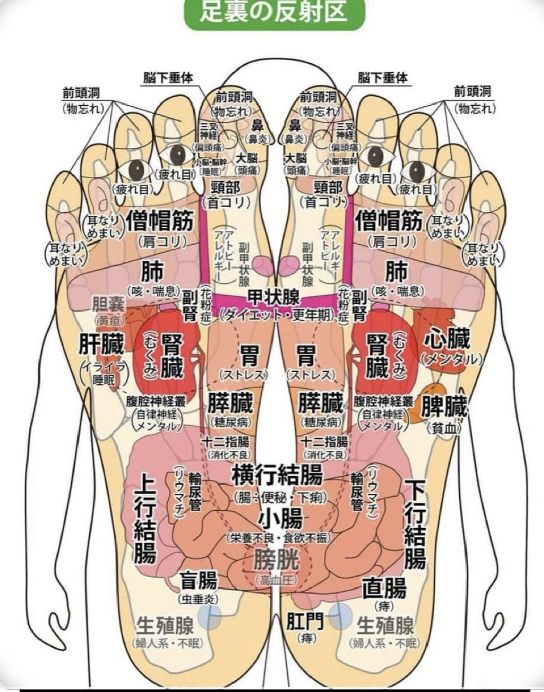 さーたん (@satan2319) / X