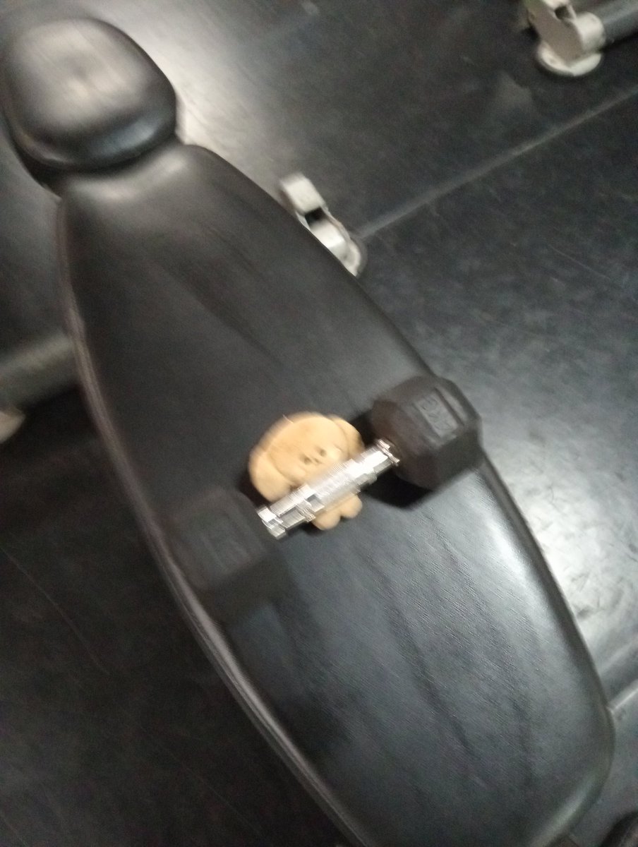 isobele22236961's tweet photo. If Meonghyunie can go to the gym, SO CAN YOU!

#minicatcher #meonghyunie #Dreamcatcher https://t.co/xz11G8sQth
