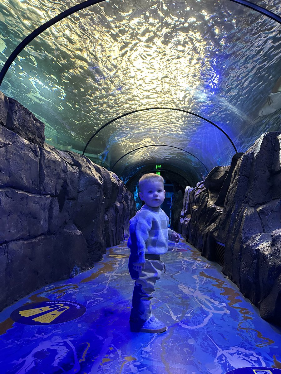 Father Phyn 🐟 tweet media