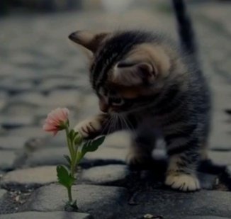 Lüksün gürültüsü çok ,hesabı zor olur ..
Ben sade bir yaşamın asudeliğine tâlibim ALLAH'ım...