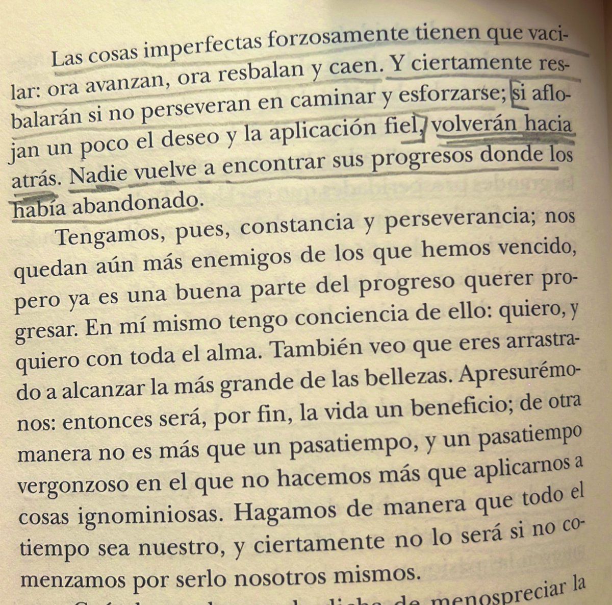 “Nadie vuelve a encontrar sus progresos donde los había abandonado.”

Adoro releer esta obra