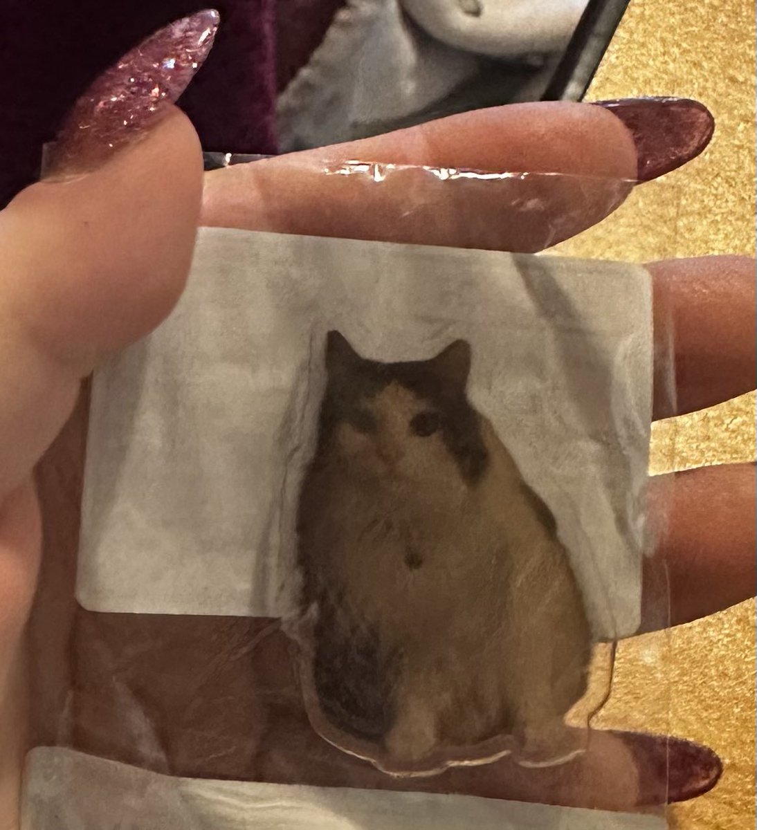 ItsErikabYo's tweet image. I bought my own personalised canvas of Toby for her bedroom as she’s getting a new special bed delivered shortly in the next few weeks and I also got her some fridge magnets. We are going to get some more canvases to put on her wall in her bedroom 
#temuhaul #personlisedgifts