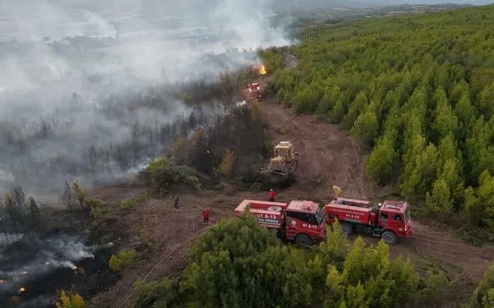 Osmaniye Hasanbeyli'de orman yangınına müdahale eden arazöz devrildi.

1 işçi şehit oldu, 1 yaralı var. (NTV)