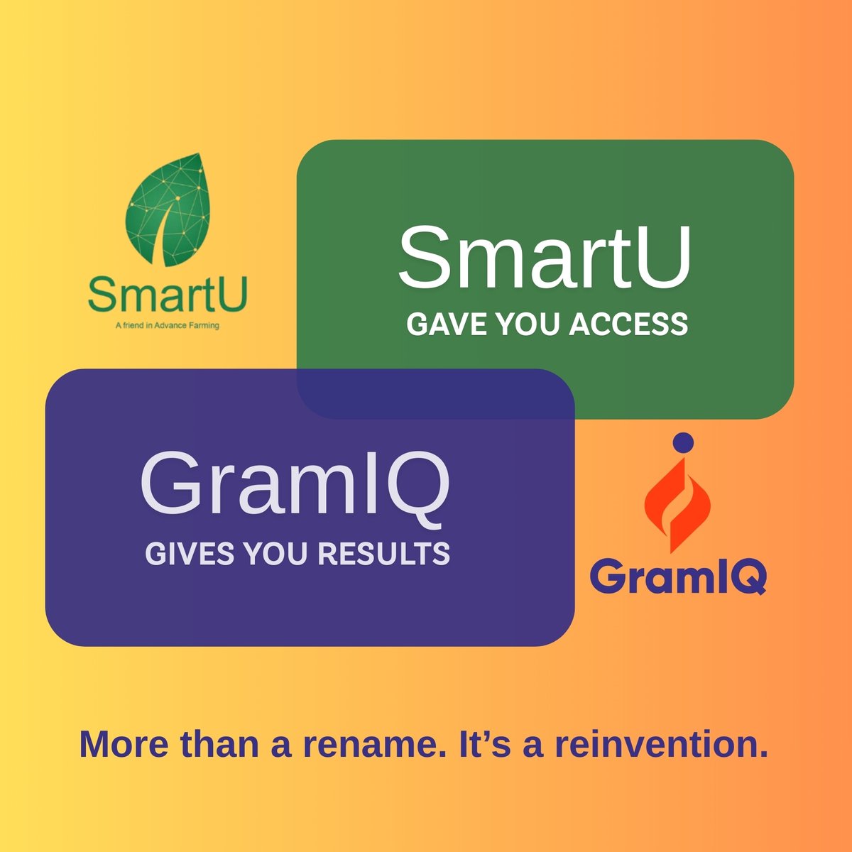 GramIQ tweet media