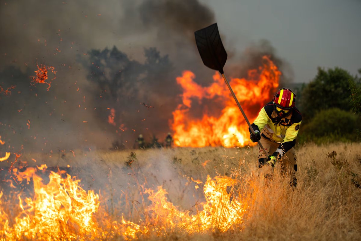 Ferminius's tweet photo. Duele ver los incendios que estamos sufriendo. Hay que reconocer el gran trabajo de algunos fotógrafos que nos muestran esta dura realidad. Fotoperiodismo por:

1- Brais Lorenzo @brais_lorenzo
2- Pablo Lasaosa @plasaosa
3- Emilio Fraile @EmilioFraile
4- Carlos Gil @CarlosGil_And https://t.co/8i9qNr5JGI