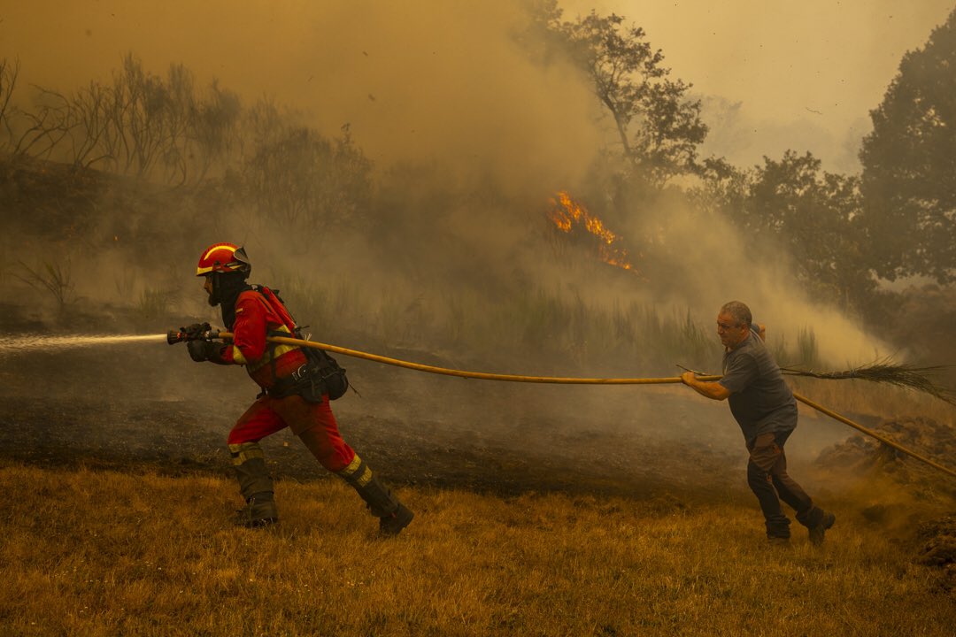 Ferminius's tweet photo. Duele ver los incendios que estamos sufriendo. Hay que reconocer el gran trabajo de algunos fotógrafos que nos muestran esta dura realidad. Fotoperiodismo por:

1- Brais Lorenzo @brais_lorenzo
2- Pablo Lasaosa @plasaosa
3- Emilio Fraile @EmilioFraile
4- Carlos Gil @CarlosGil_And https://t.co/8i9qNr5JGI
