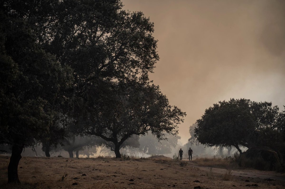Fermín Rodríguez (@ferminius) on Twitter photo Duele ver los incendios que estamos sufriendo. Hay que reconocer el gran trabajo de algunos fotógrafos que nos muestran esta dura realidad. Fotoperiodismo por:
1- Brais Lorenzo <a href="/brais_lorenzo/">Brais Lorenzo</a>
2- Pablo Lasaosa <a href="/plasaosa/">Pablo Lasaosa</a>
3- Emilio Fraile <a href="/EmilioFraile/">Emilio Fraile</a>
4- Carlos Gil <a href="/CarlosGil_And/">Carlos Gil</a> Duele ver los incendios que estamos sufriendo. Hay que reconocer el gran trabajo de algunos fotógrafos que nos muestran esta dura realidad. Fotoperiodismo por:
1- Brais Lorenzo <a href="/brais_lorenzo/">Brais Lorenzo</a>
2- Pablo Lasaosa <a href="/plasaosa/">Pablo Lasaosa</a>
3- Emilio Fraile <a href="/EmilioFraile/">Emilio Fraile</a>
4- Carlos Gil <a href="/CarlosGil_And/">Carlos Gil</a>