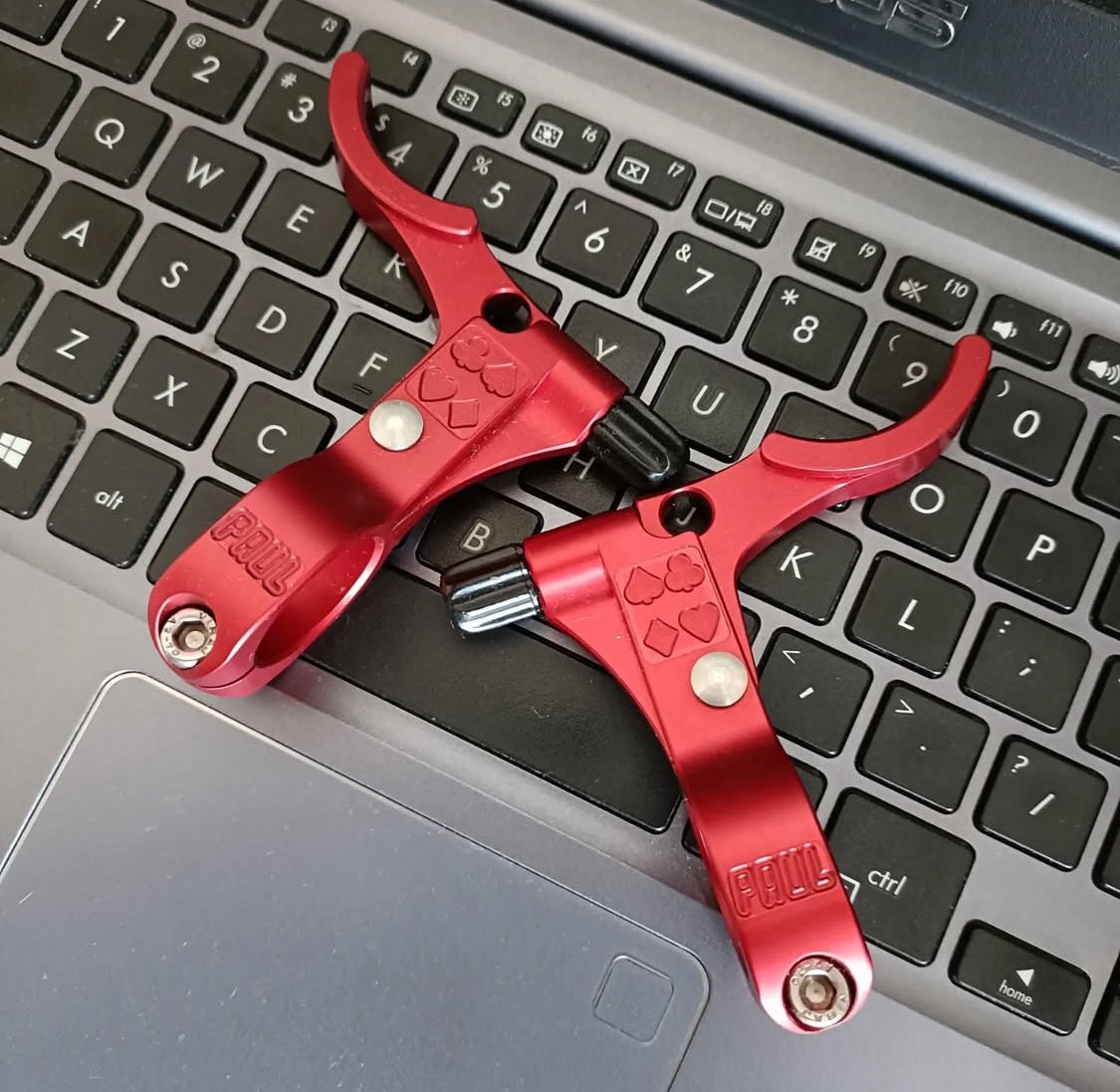 PAUL e lever.. sepasang 1.5jt kapanlagi #fnfjb