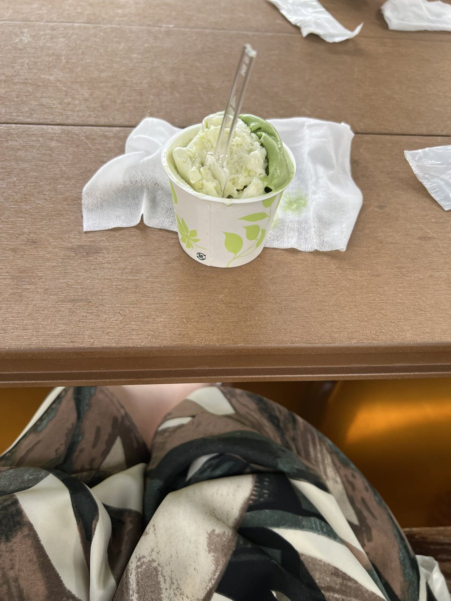 揚げたて三角揚げと足湯つかりジェラート🍨