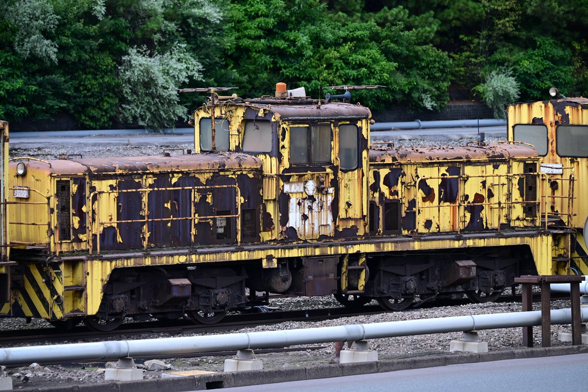 きんのすけ 鐵鰹 on X