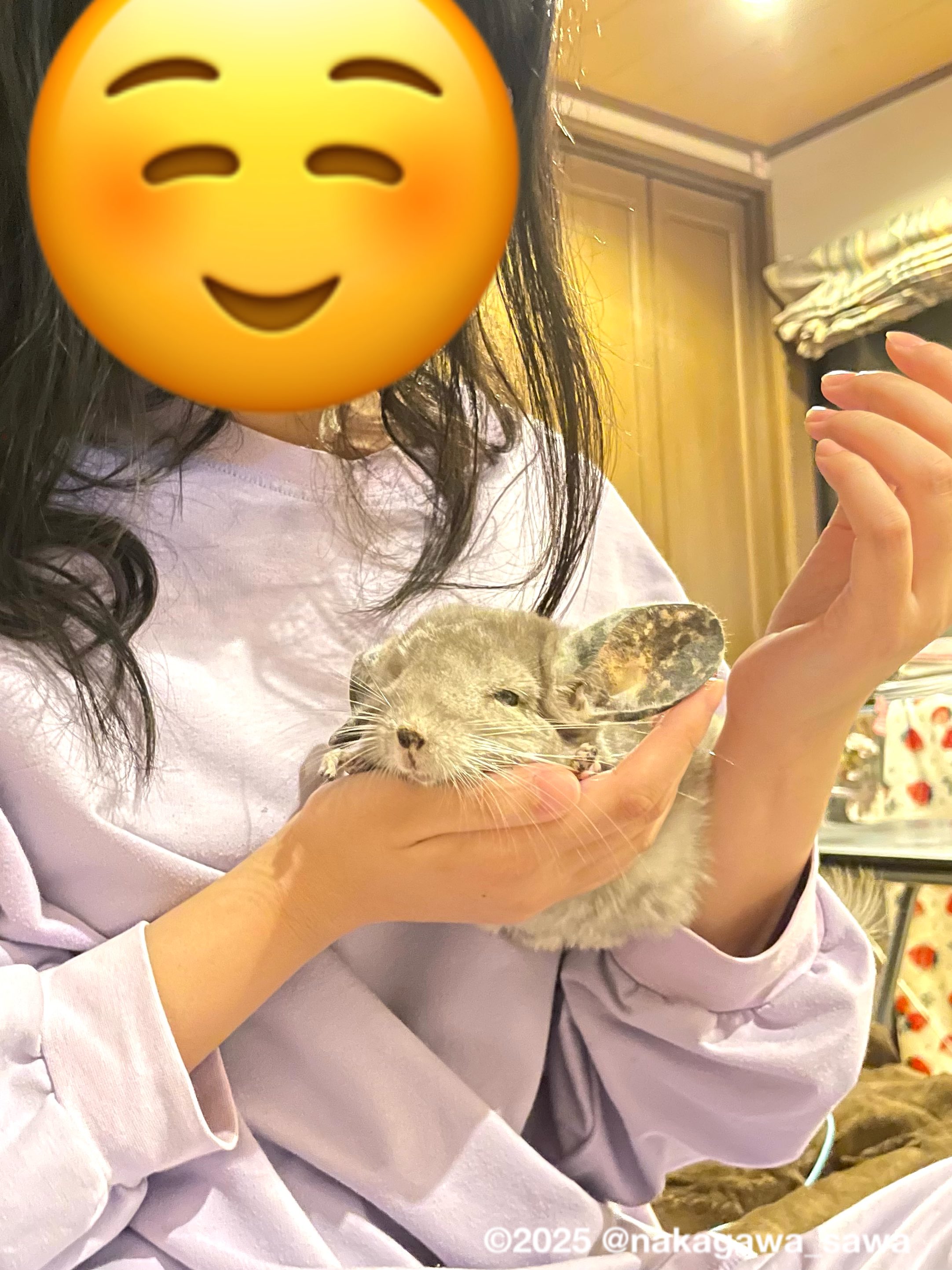 さわえ様 おまとめ購入ページ SALE】えっくす☆きゅーと ふぁみりー おとぎの国/小さなメイド