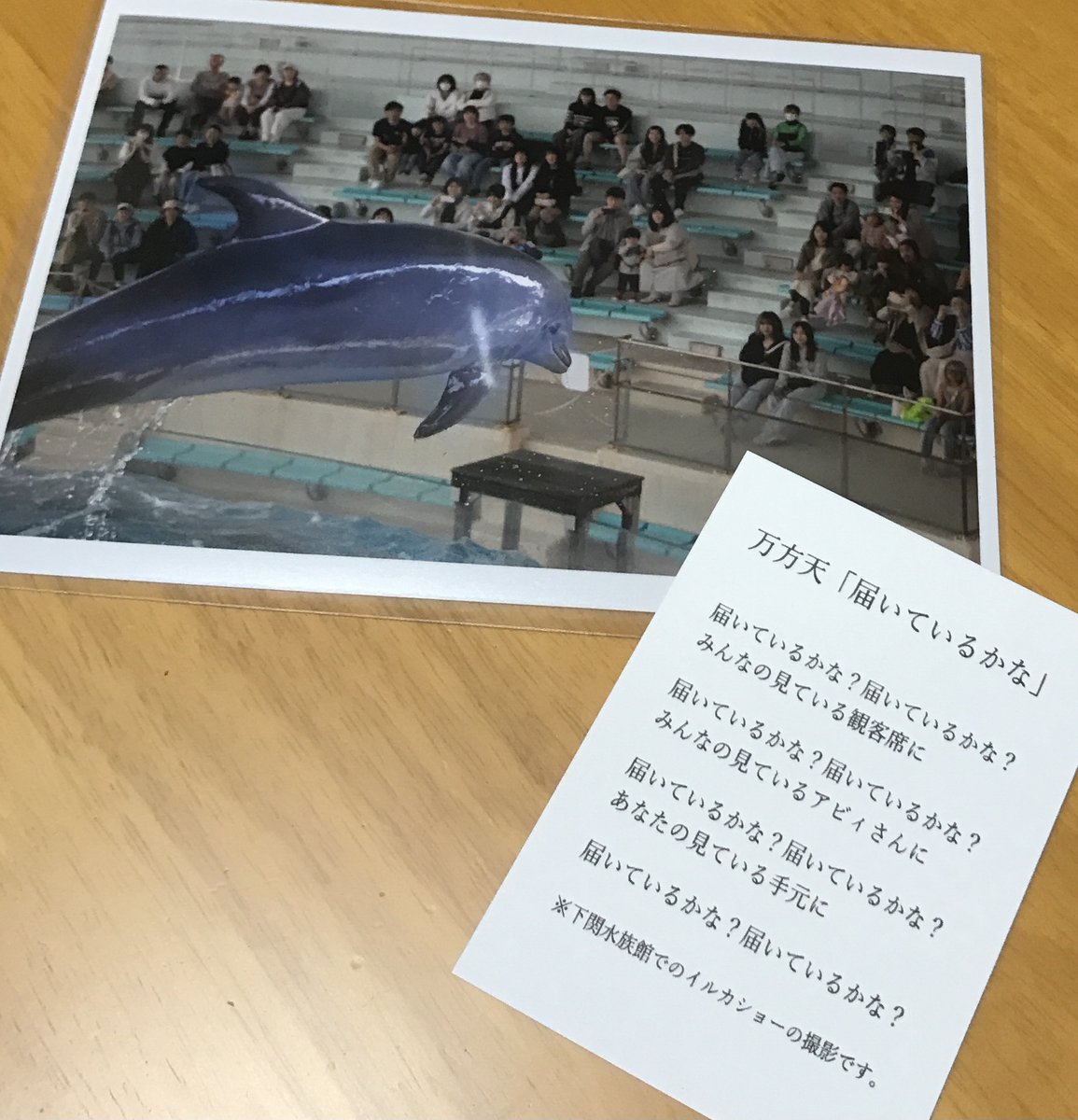sazittarius_com's tweet photo. この写真が 届きましたよ！　#誰かに届く写真展 #ギャラリーアビィ #私の写真も誰かのところに https://t.co/edieL3Alyn