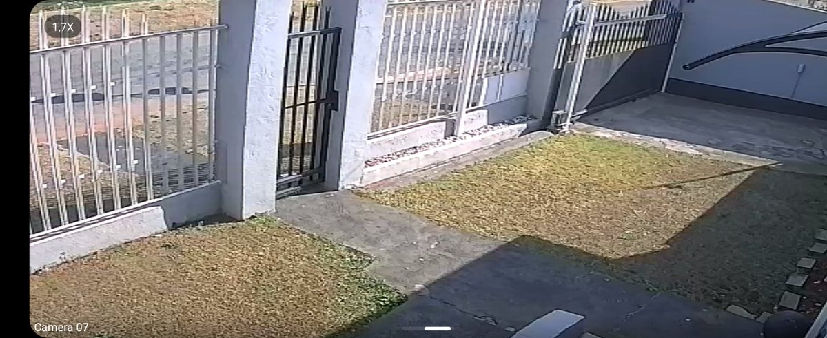 shantal516's tweet photo. @CityPowerJhb to check my box i explained it's on the pole she said she has to come in so then she starts taking pictures of me and my property saying I refused access and they will cut me https://t.co/YRQ5ptgyYO
