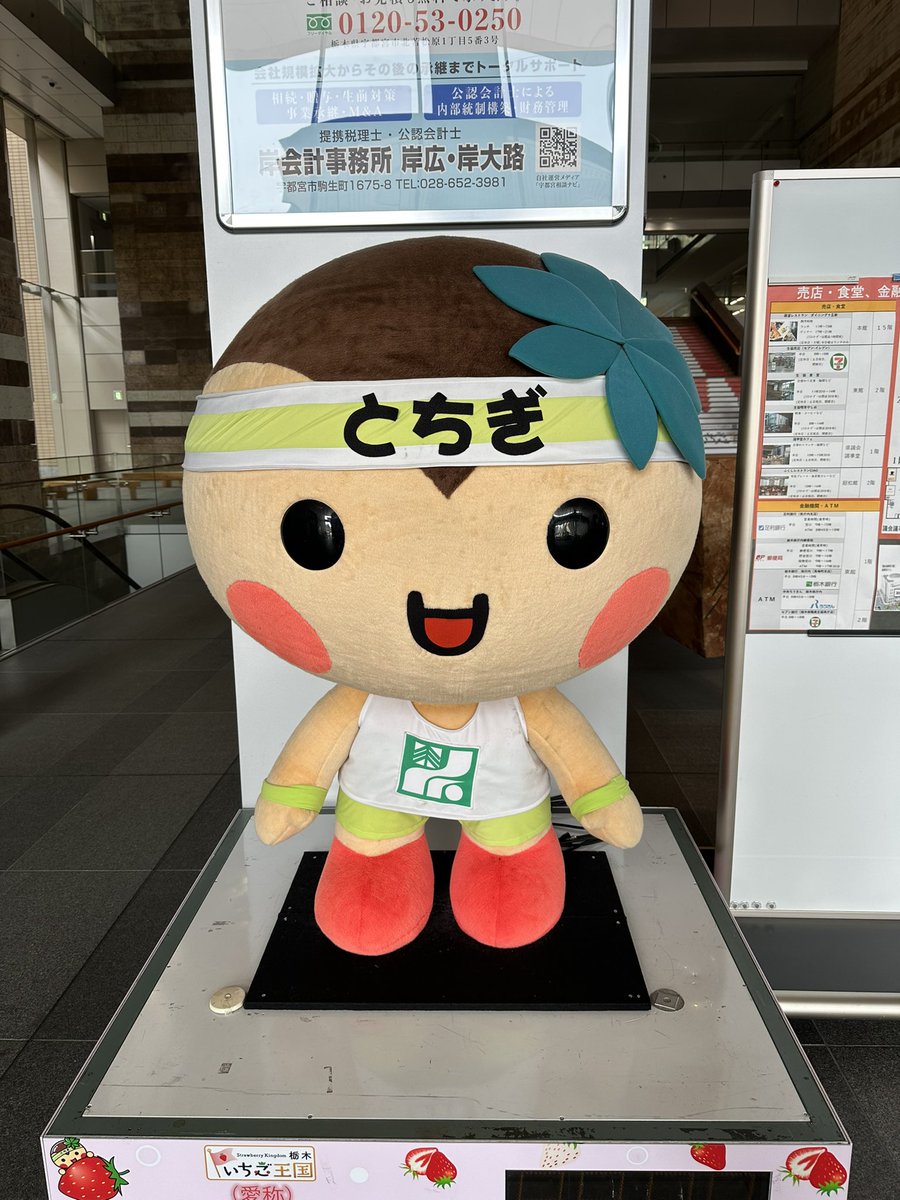 最近ノーメニューの日にチームメイトと一緒に乗る機会が多くなって気付いてたけど、やっぱり人と一緒に乗ると楽しい！笑

そのおかげもあって、魅力的なルートをたくさん教わったので、県外の自転車乗り友達を連れてアテンドしたくて仕方ない。🤷‍♂️

遊びにきてください🙋‍♂️
栃木県、いい所です✊