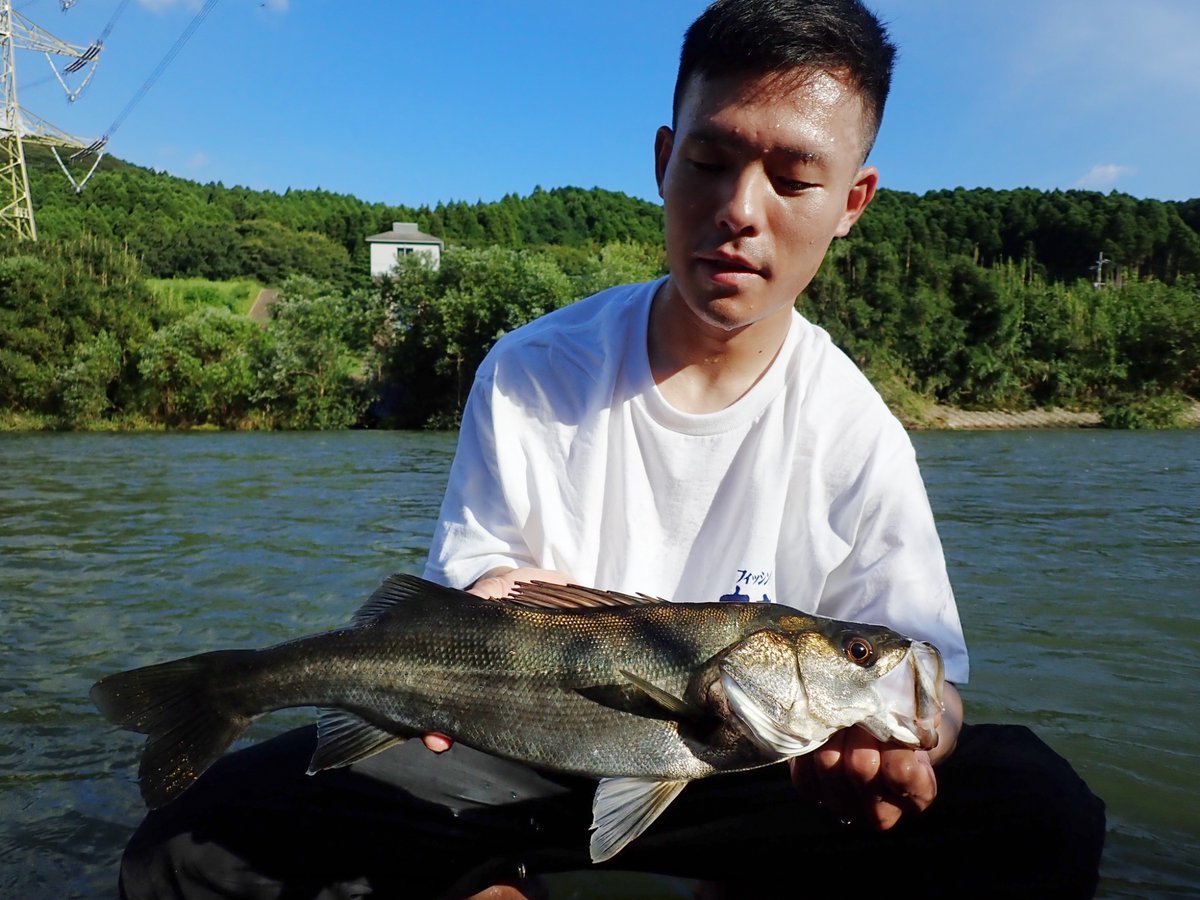 tabaz_'s tweet image. 2本釣れたけど1本は写真撮る前に逃げられた笑

跳ね回って楽しい個体やった！