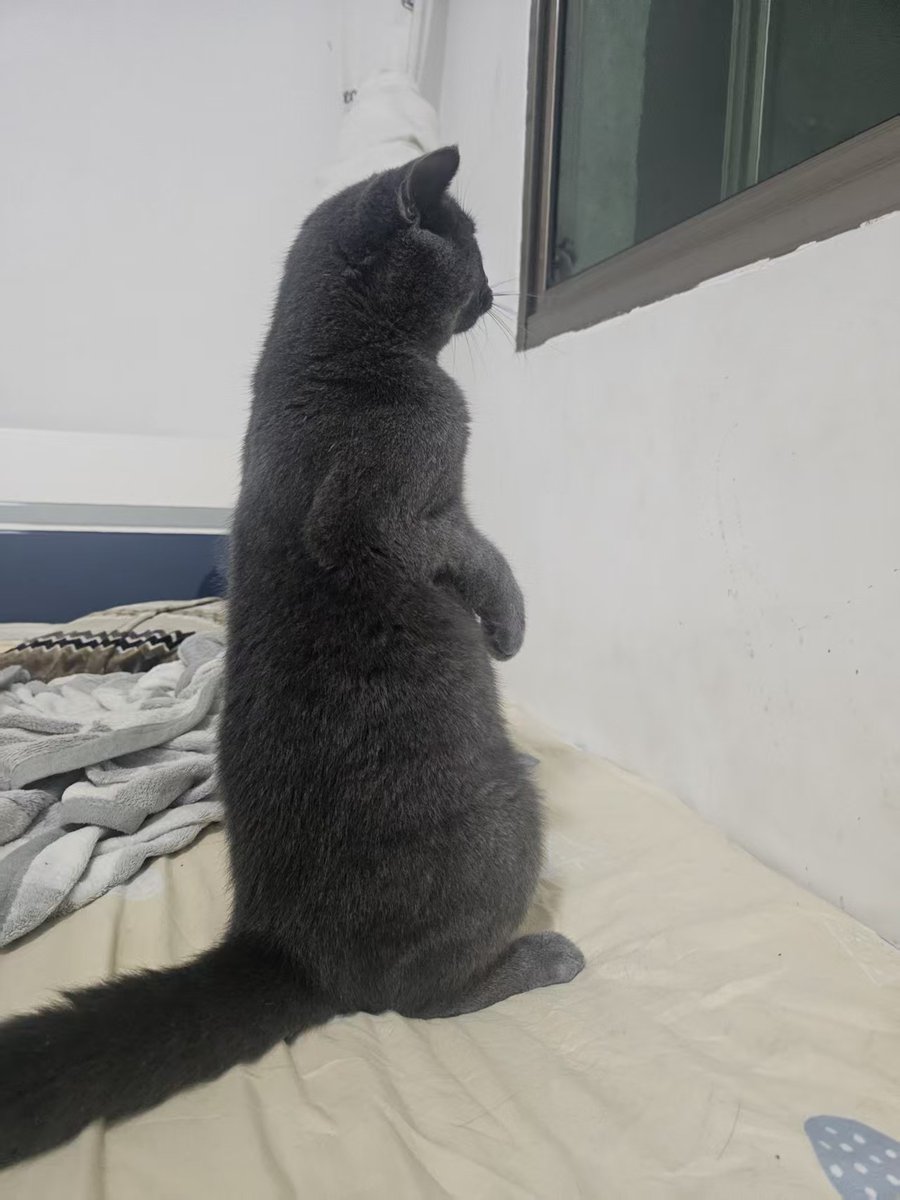 接下来的几个月，是你一生一次的机会，你要谢绝一切饭局，放弃一切娱乐，把自己锁在屋子里，不要约会，不要度假，100%专注在Crypto上，抓住你一生难得的一次机会