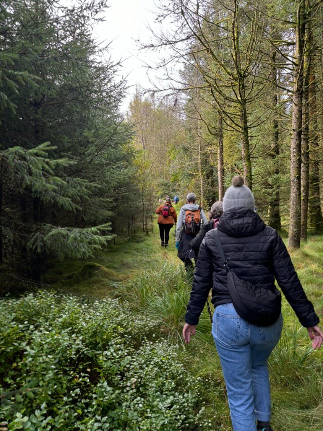 Strata Florida Trust -Ymddiriedolaeth Ystrad Fflur tweet media