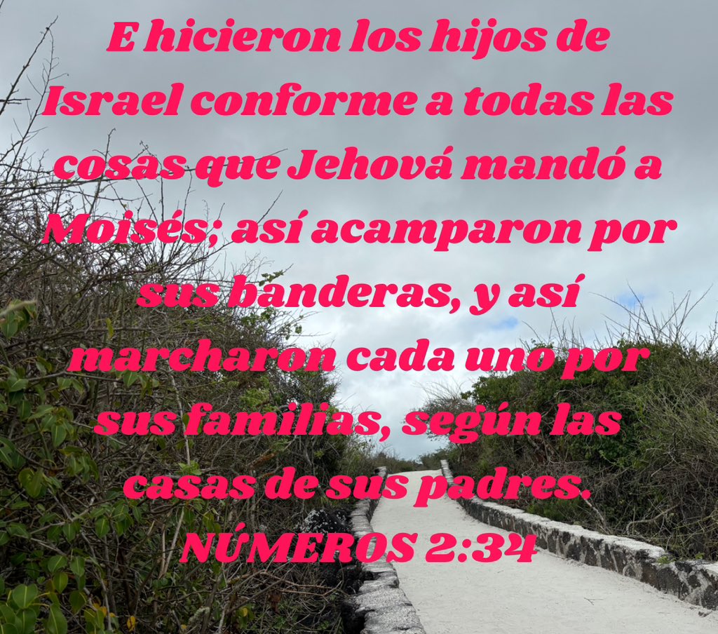 El orden es fundamental para cualquier movimiento o estructura, seamos ordenados en nuestra vida y Dios nos guiará seguros en todo #rpsp #Maranatha #PrimeroDios