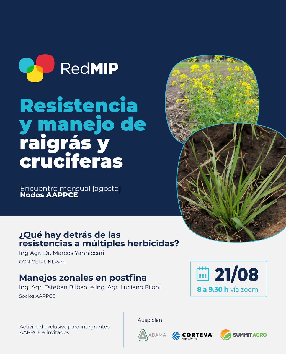 AAPPCE (@aappce) on Twitter photo 🌿 Socios AAPPCE: este mes nos volvemos a reunir en el marco de #RedMIP.
Dialogaremos sobre 👉 resistencia y manejo de raigrás y crucíferas.
🗓 Jueves 21/08 – 8 h
💻 Zoom. Solicitar acceso: info@aappce.org o comunicarse con Ing. Agr. Pablo Errazu. Cel.: +54 9 2983 64-0566. 🌿 Socios AAPPCE: este mes nos volvemos a reunir en el marco de #RedMIP.
Dialogaremos sobre 👉 resistencia y manejo de raigrás y crucíferas.
🗓 Jueves 21/08 – 8 h
💻 Zoom. Solicitar acceso: info@aappce.org o comunicarse con Ing. Agr. Pablo Errazu. Cel.: +54 9 2983 64-0566.