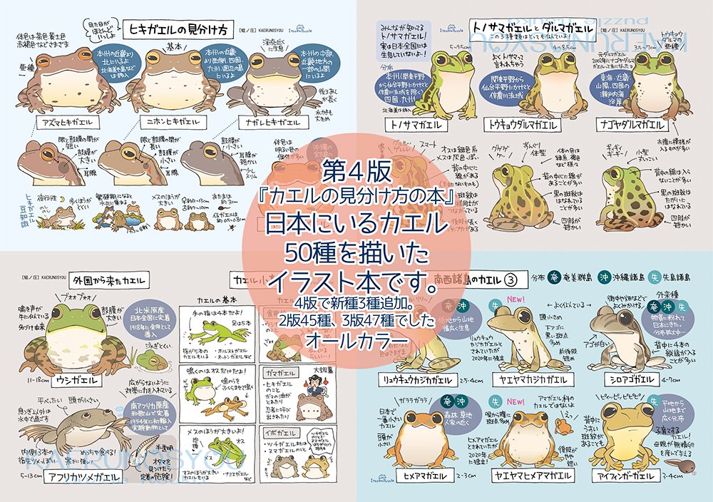 蛙ノ庄🐸C106 8/17南c-37a (@kaerunosyou) / X