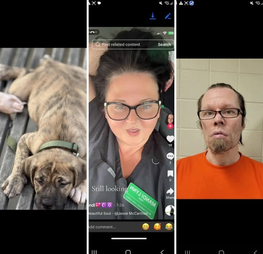 ✨️AreOhEssEyeEe✨️ tweet media