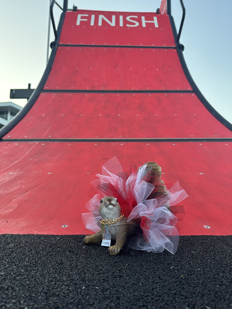 Can’t wait to meet all the <a href="/HumbleISD_KMS/">Kingwood Middle</a> Cougars today! Can you spot these locations? #newyear #newfit #sameSquirrel #KMSCougarPride