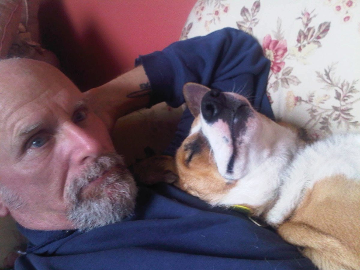 Happy anniversary Roscoe. Officially adopted Aug 13 2014 after 90 days in the pound. Was told he had some behavioural issues. Nothing love won’t cure