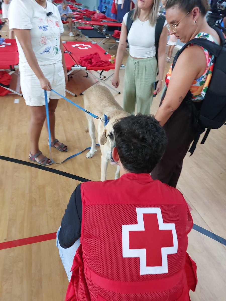 Incendios en España (actualización de nuestra intervención a las 15h): 

La Rioja (Viniegra de Abajo): Activado el apoyo logístico a los equipos intervinientes. En prealerta en otros dos incendios (Gimileo y Fonzaleche y Treviana).

Extremadura (Cáceres): Se mantiene activo el