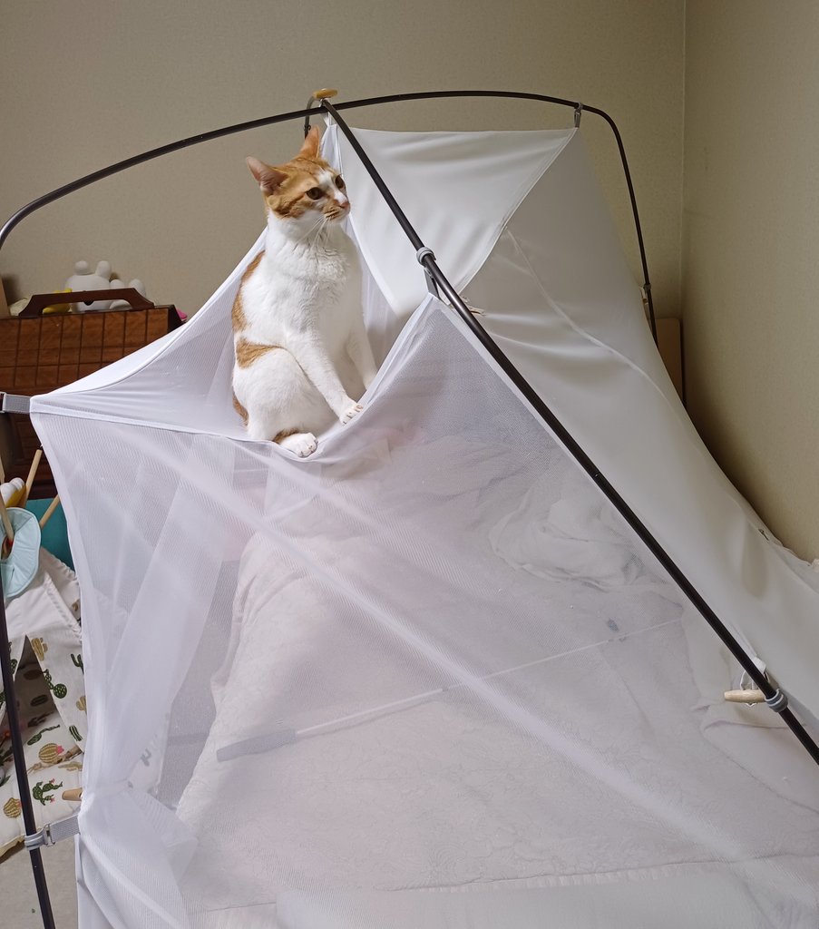 태연한 척 하지마
무너지고 있짆아
니가 생각해봐도 모기장 무너지고 있잖아