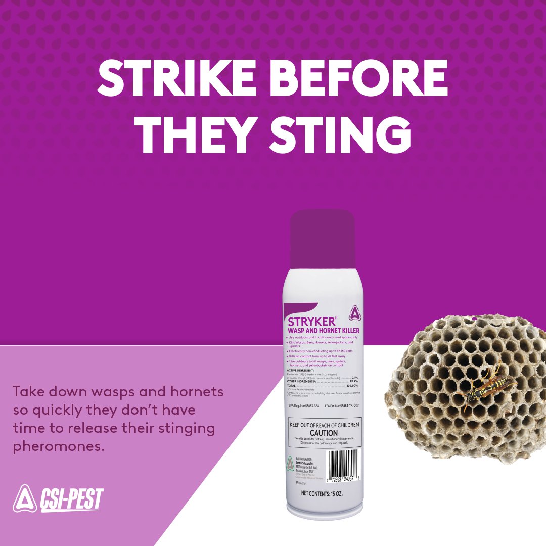 csi_pest's tweet image. Don’t give wasps or hornets a chance to fight back.Stryker Wasp and Hornet Killer knocks them down fast before they can sting!

#InnovativeSolutions #WaspControl #HornetControl

Visit CSI Pest to learn more. hubs.la/Q03BptbJ0