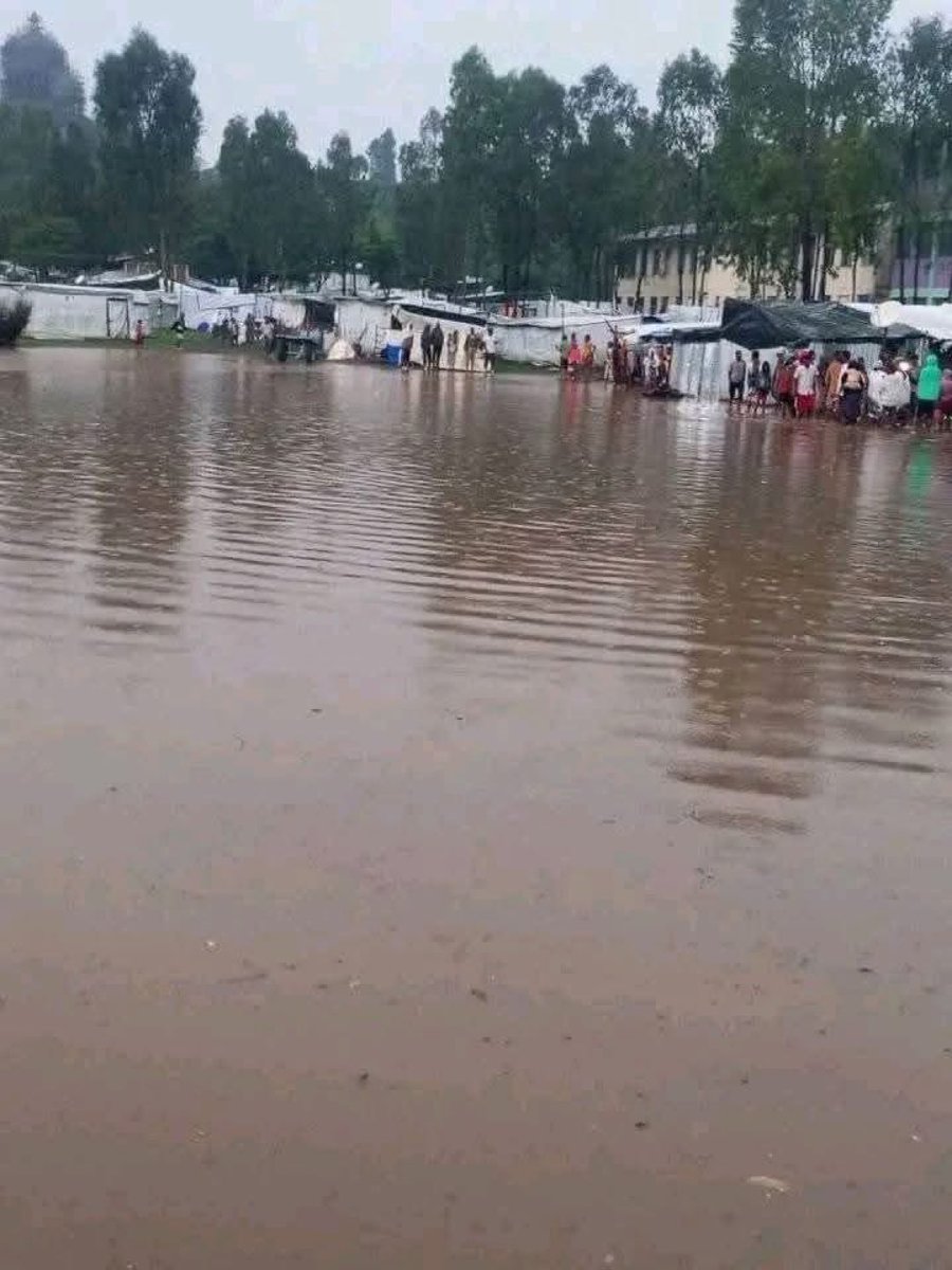 Where are you now? You once shouted in protest against the <a href="/reda_getachew/">Getachew K Reda</a>,but now  when our people in Tigray are stranded in flooded camps,hungry,and forgotten you stay silent.Was your voice only for politics, not for the people? #JusticeForTigray #TigrayCantWait  <a href="/MikeHammerUSA/">Mike Hammer</a>