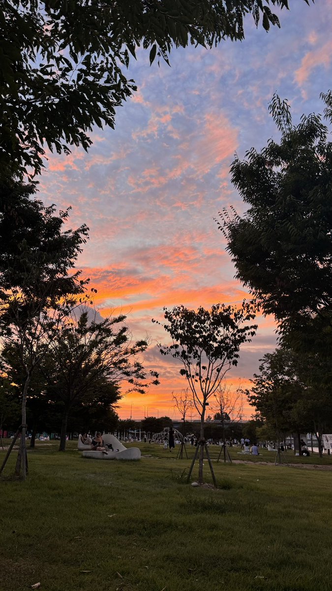 dddojjin's tweet photo. 한강가야되는이유.. 🌆🌳 https://t.co/dFcufVM2tv