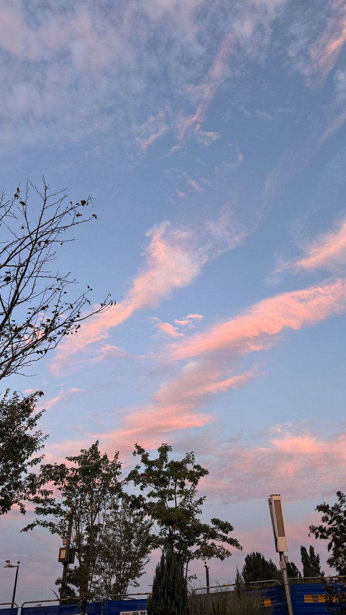 dddojjin's tweet photo. 한강가야되는이유.. 🌆🌳 https://t.co/dFcufVM2tv