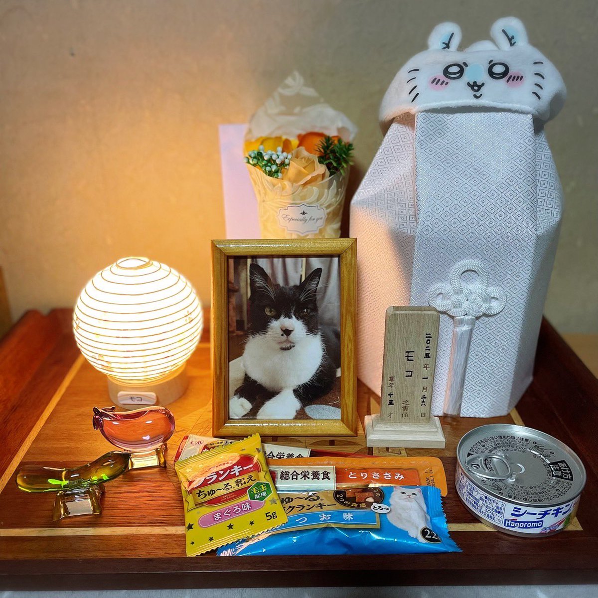 34chanmeow's tweet photo. ちゃんと帰ってこれたかな🐈 https://t.co/5e9AX7HoLS