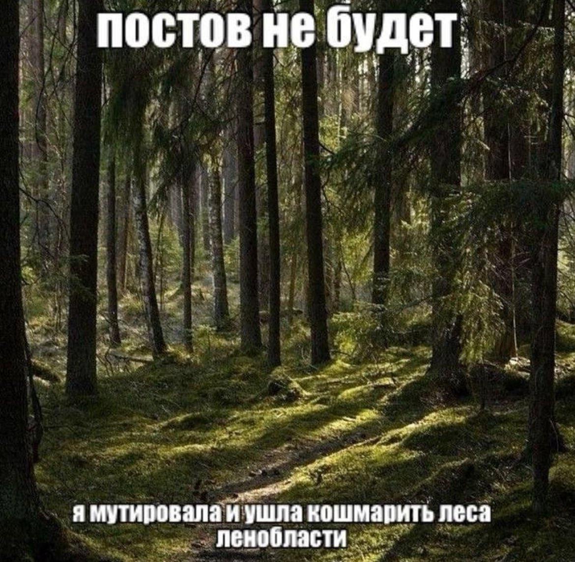 vsebudethorisho's tweet photo. хочу https://t.co/pujaQnSUv7