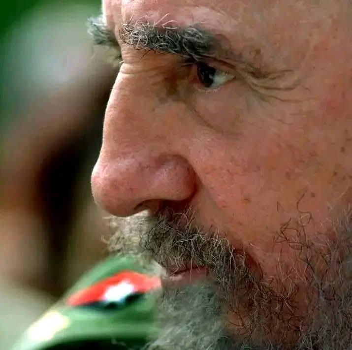HppPina's tweet photo. Un #Fidel que vibra en la montaña
Un rubí, cinco franjas y una estrella.
#100AñosConFidel 
#FidelEsFidel https://t.co/EqJmHmyPPG
