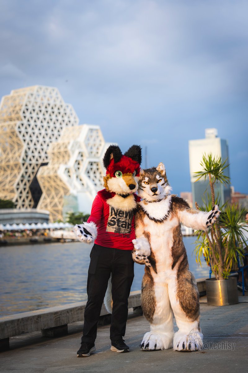 今天是國際狼狼日喔!🐺❤️🐺
📸: <a href="/Kechisy/">Sanu Keçisy ➡️ Infurnity</a> 
#InternationalWolfDay #国際オオカミの日