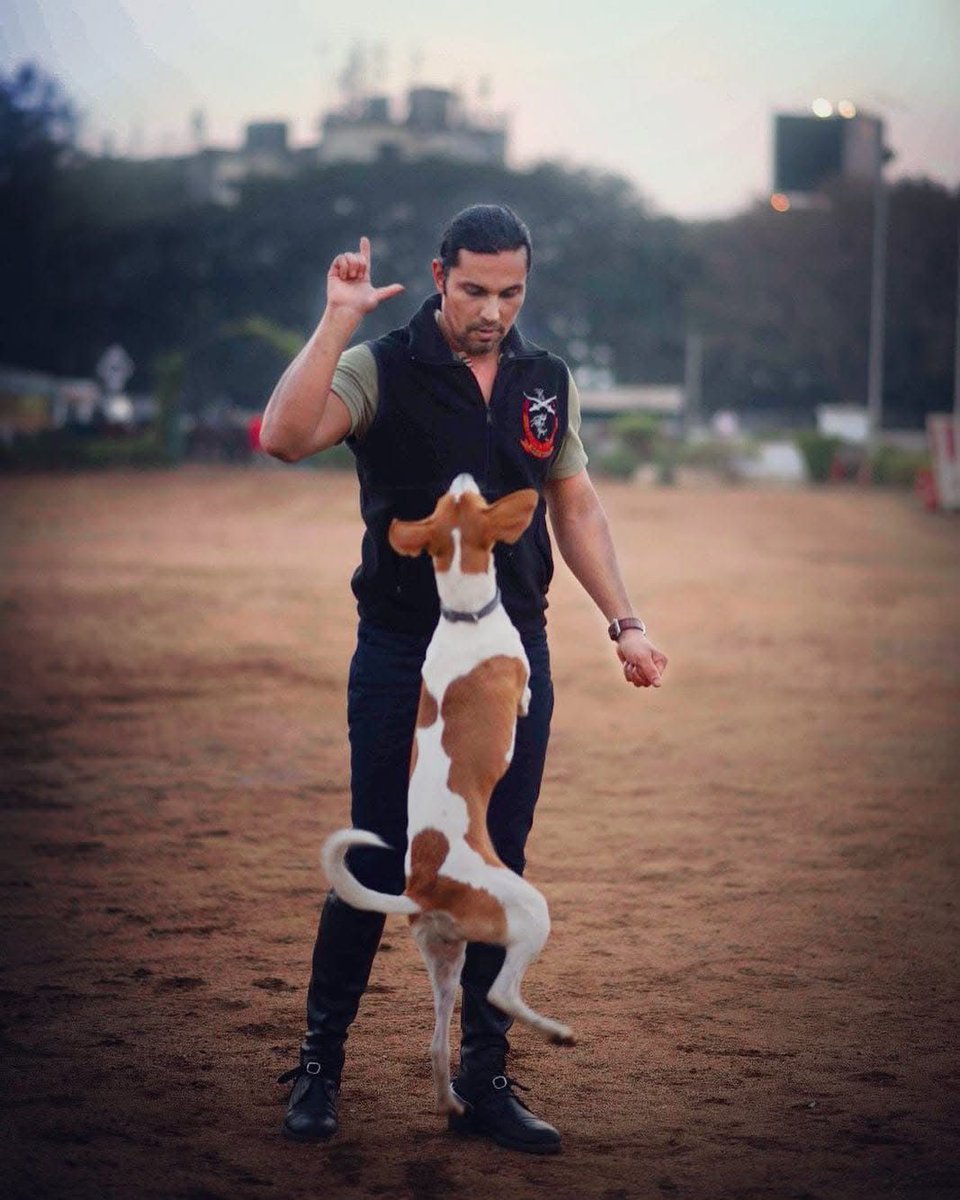jyotsnarawat19's tweet photo. Randeep Hooda Agrees With Supreme Court Order On Stray Dogs, Calls It 'Long-Term Possible Solution'

@RandeepHooda #centralgovernment #dogs #AnimalRights https://t.co/yp0HVJ7ZJZ