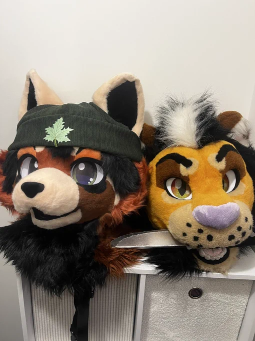 Image from Eepy (@EepyRed)