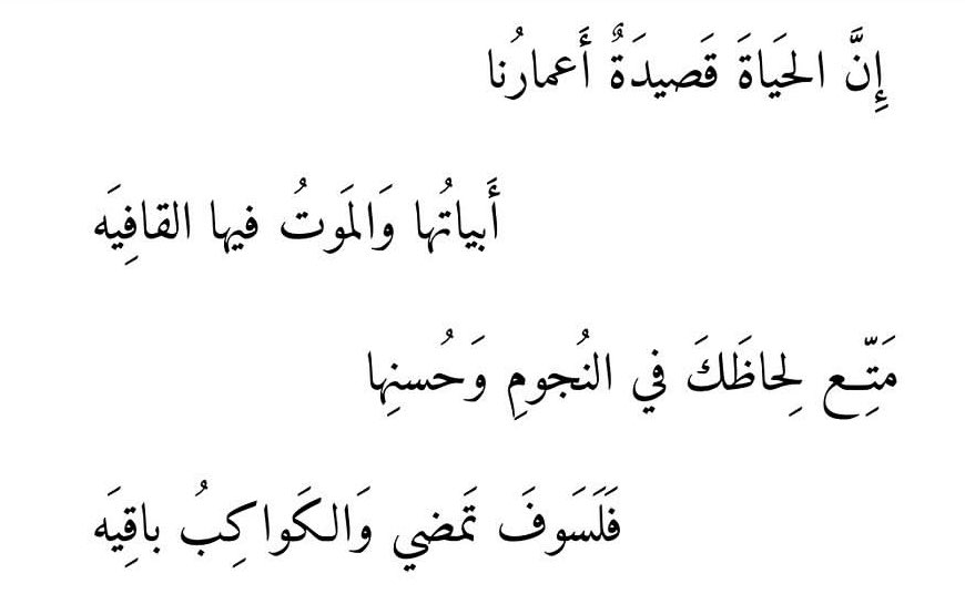 بيت شعر عربي كل يوم (@arabicpoet0) on Twitter photo 