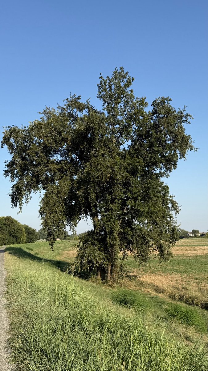 ¡Muy buen miércoles para todos!