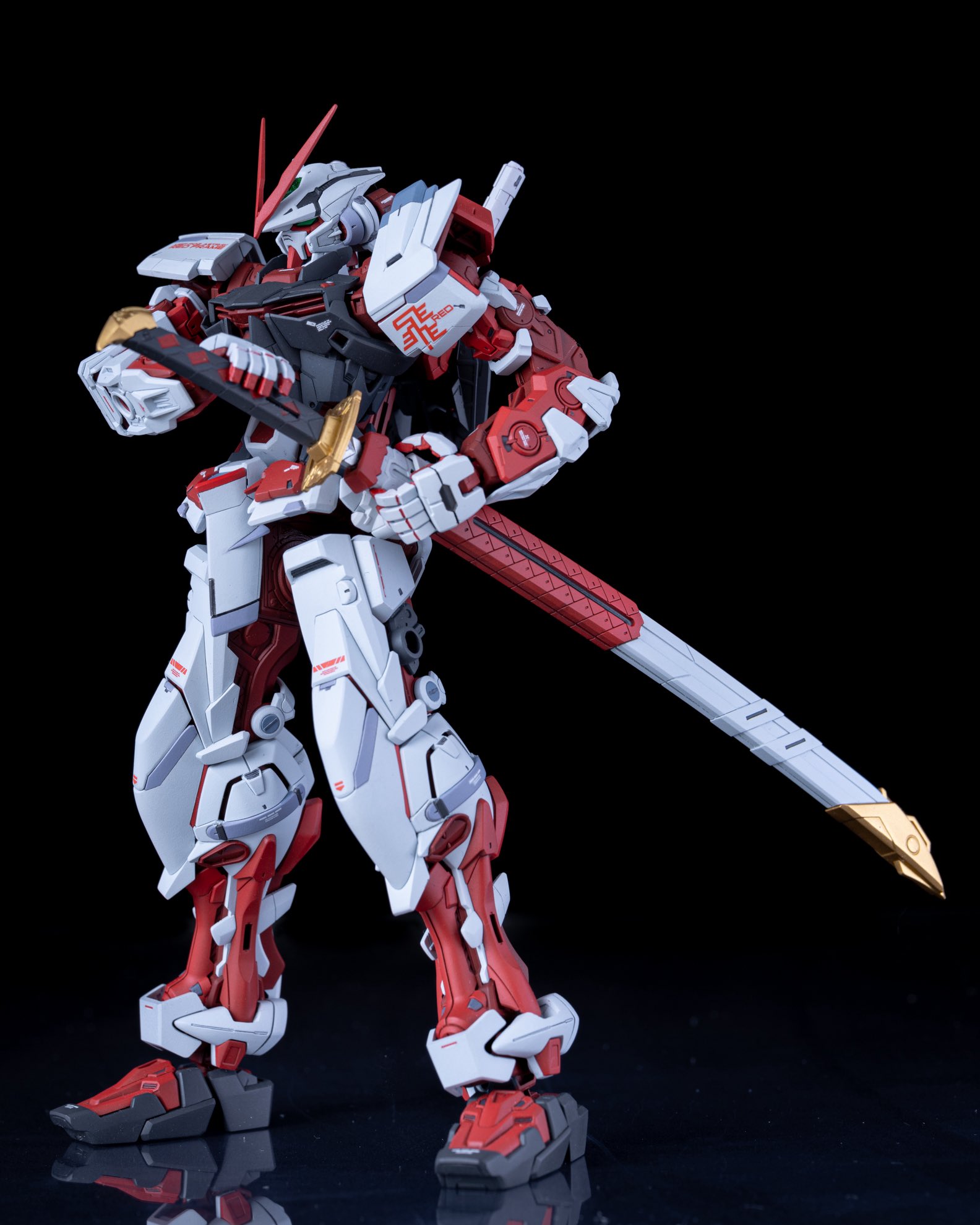 モンステラ・ポトス kensuke510 モンステラ・ポトス kensuke510 モンステラ！？ポトス