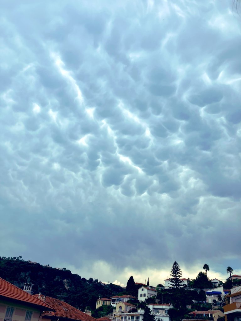 Bergamasco Florian tweet media