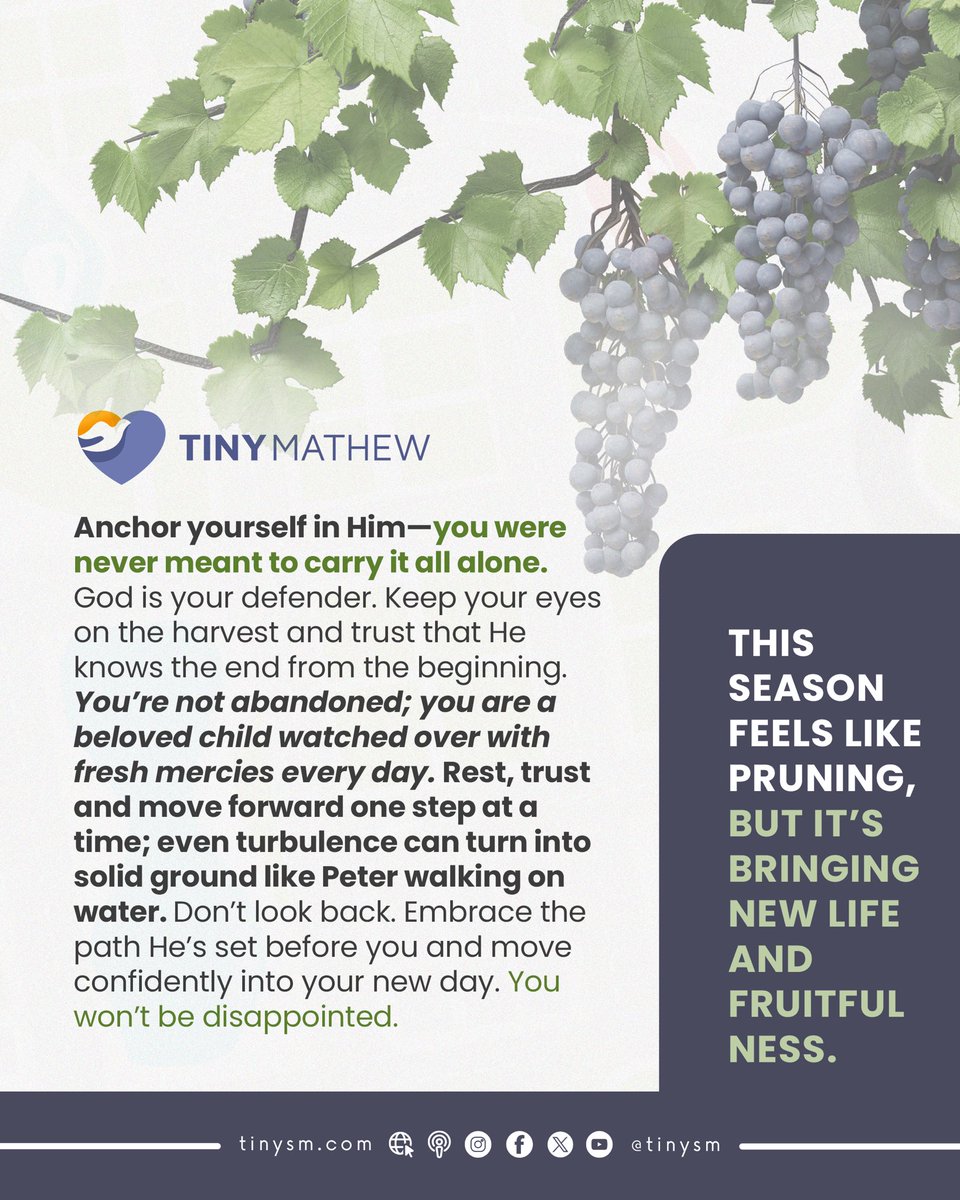 #pruningseason #faithjourney #trustGod #newbeginnings