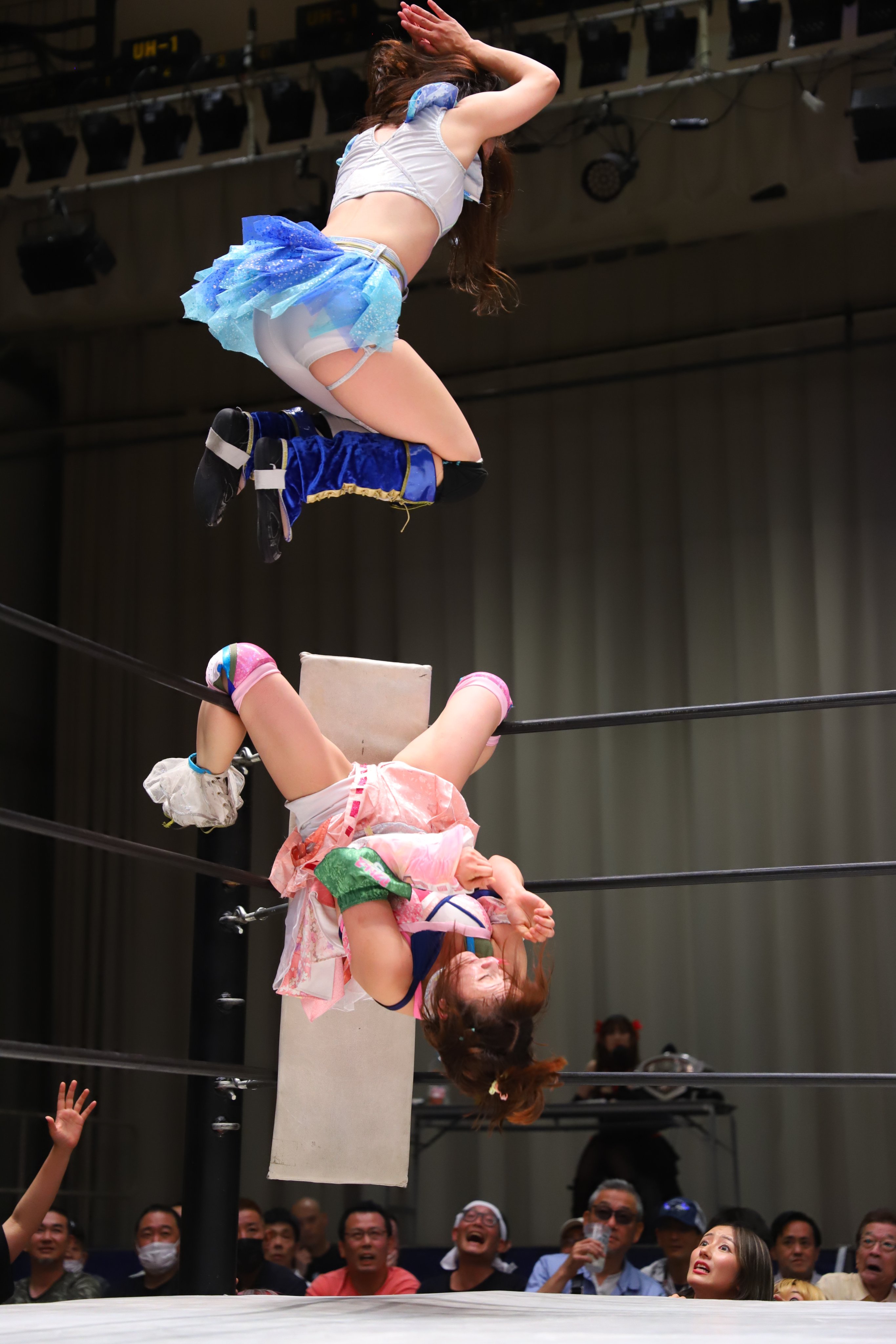 ☆抱き合わせ対象☆ボルテージ 感謝祭 ボルフェス 宴 ファン感謝祭メニューをご案内 | KUROBEアクアフェアリーズ